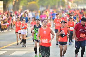BIB: 26411
                            <button type="button" onclick="openModal(12774164)" class="btn btn-primary btn-sm float-right btn-popup" data-toggle="modal" data-target=".modal-high-quality">
                        <i class="fas fa-shopping-cart"></i> Add to Cart
                    </button>
                                            <button type="button" onclick="isThisMe(12774164, true)" class="btn btn-success btn-sm float-right btn-popup btn-isme hidden" data-toggle="tooltip" data-placement="bottom" title="นี่คือรูปของคุณใช่ไหม คลิกที่นี่เพื่อเอาเข้าอัลบั้ม">
                        <i class="fas fa-plus"></i> Add to album
                    </button>
                    <button type="button" onclick="isThisMe(12774164, false)" class="btn btn-warning btn-sm float-right btn-popup btn-isnotme hidden">
                        <i class="fas fa-ban"></i> Remove from album
                    </button>